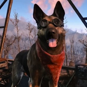 Short talks about her Fallout 4 Backseat Gaming! Dogmeat seen here in his googles and handkerchief.