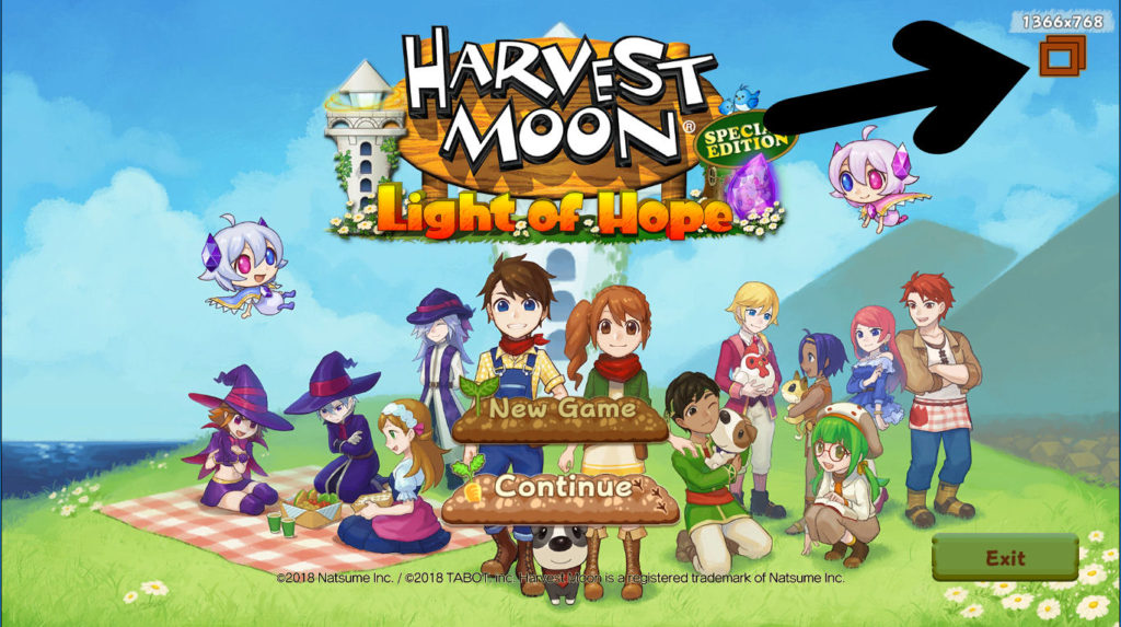 Short shows off the options for accessibility in the Steam game Harvest Moon: Light of Hope. Seen is the game's indication of video options.