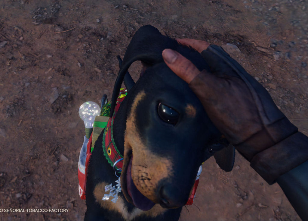 Short talks about her time in the newest Far Cry 6. Seen is one of the companions that helps you called Chorizo being petted. He's a assistive pal who carries tools in his doggy wheelchair! 