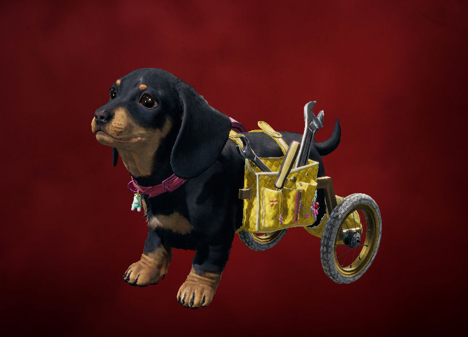 Short talks about her time in the newest Far Cry 6. Seen is one of the companions that helps you called Chorizo. He's a assistive pal who carries tools in his doggy wheelchair! 
